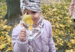 Zdjęcie 5 na 23