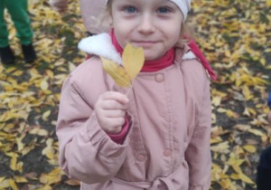 Zdjęcie 6 na 23