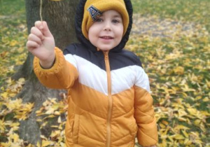 Zdjęcie 9 na 23