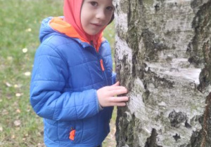 Zdjęcie 18 na 23