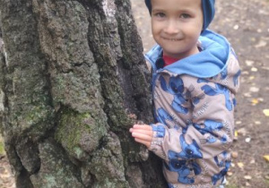 Zdjęcie 19 na 23