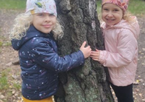 Zdjęcie 20 na 23