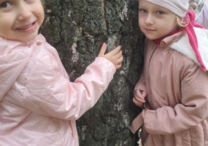 Zdjęcie 22 na 23