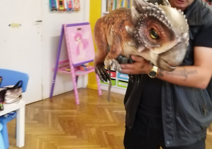 Zdjęcie 12 na 27