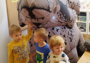 Zdjęcie 27 na 27