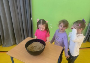 Zdjęcie 11 na 16