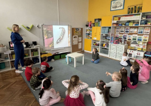 Zdjęcie 5 na 25