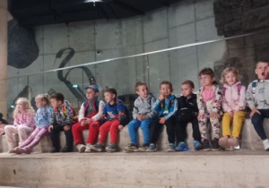 Zdjęcie 5 na 13