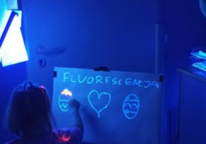 Zdjęcie 9 na 11