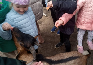 Zdjęcie 1 na 8
