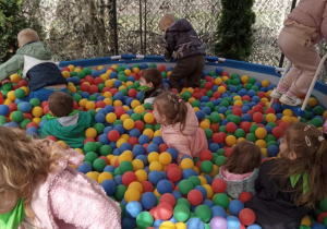 Zdjęcie 8 na 8