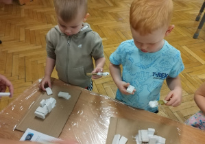 Zdjęcie 12 na 33
