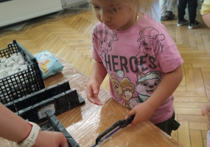 Zdjęcie 19 na 33