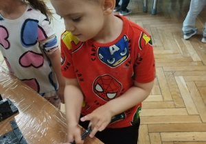 Zdjęcie 24 na 33