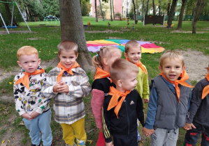 Zdjęcie 3 na 16