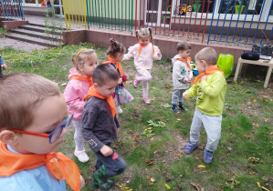 Zdjęcie 10 na 16