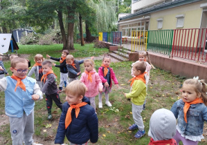 Zdjęcie 11 na 16