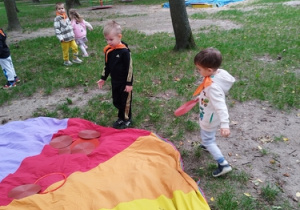 Zdjęcie 13 na 16