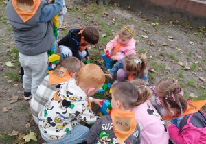 Zdjęcie 14 na 16